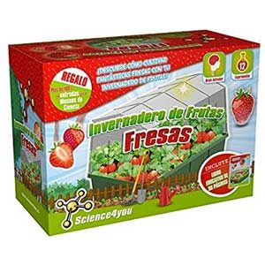 Science4you-Invernadero De Frutas-Fresas Juguete Educativo Y Científico, Multicolor (5600849488332)